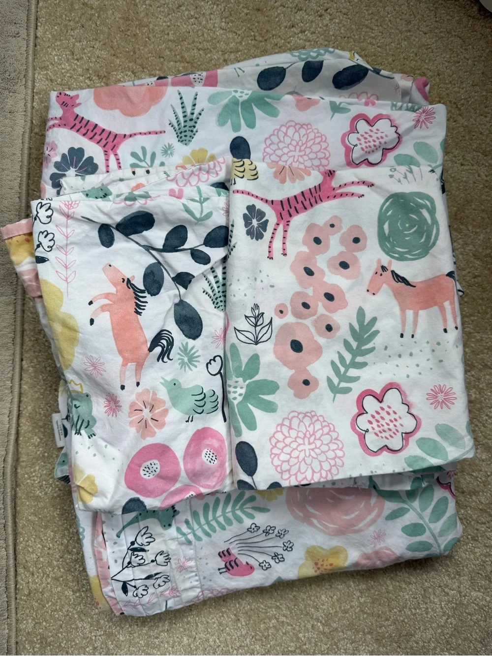 Pottery Barn Kids Floral Organic Cotton Sheet Set - Size Full